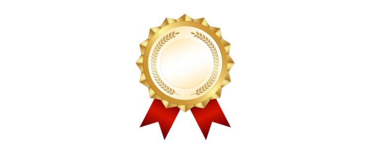 Graphic of a medal